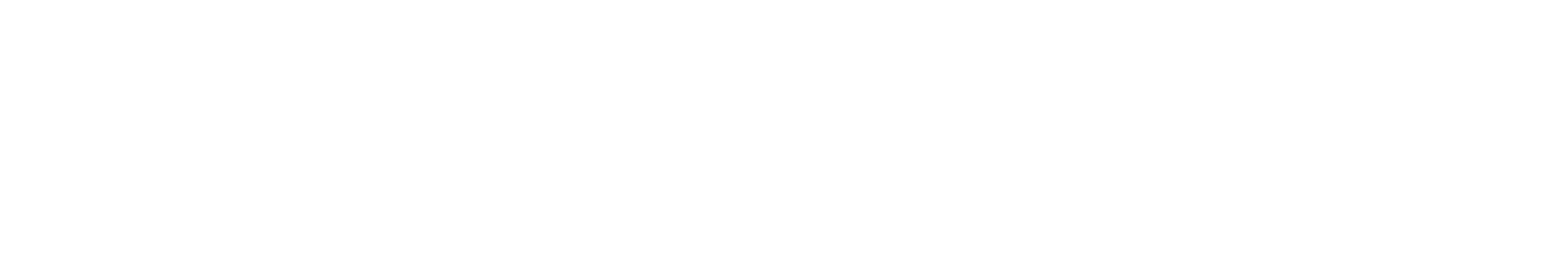 Level 1 White